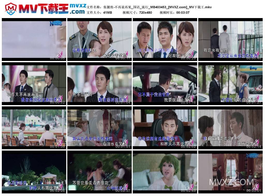 张靓玫-不再说再见_国语_流行_MB403453